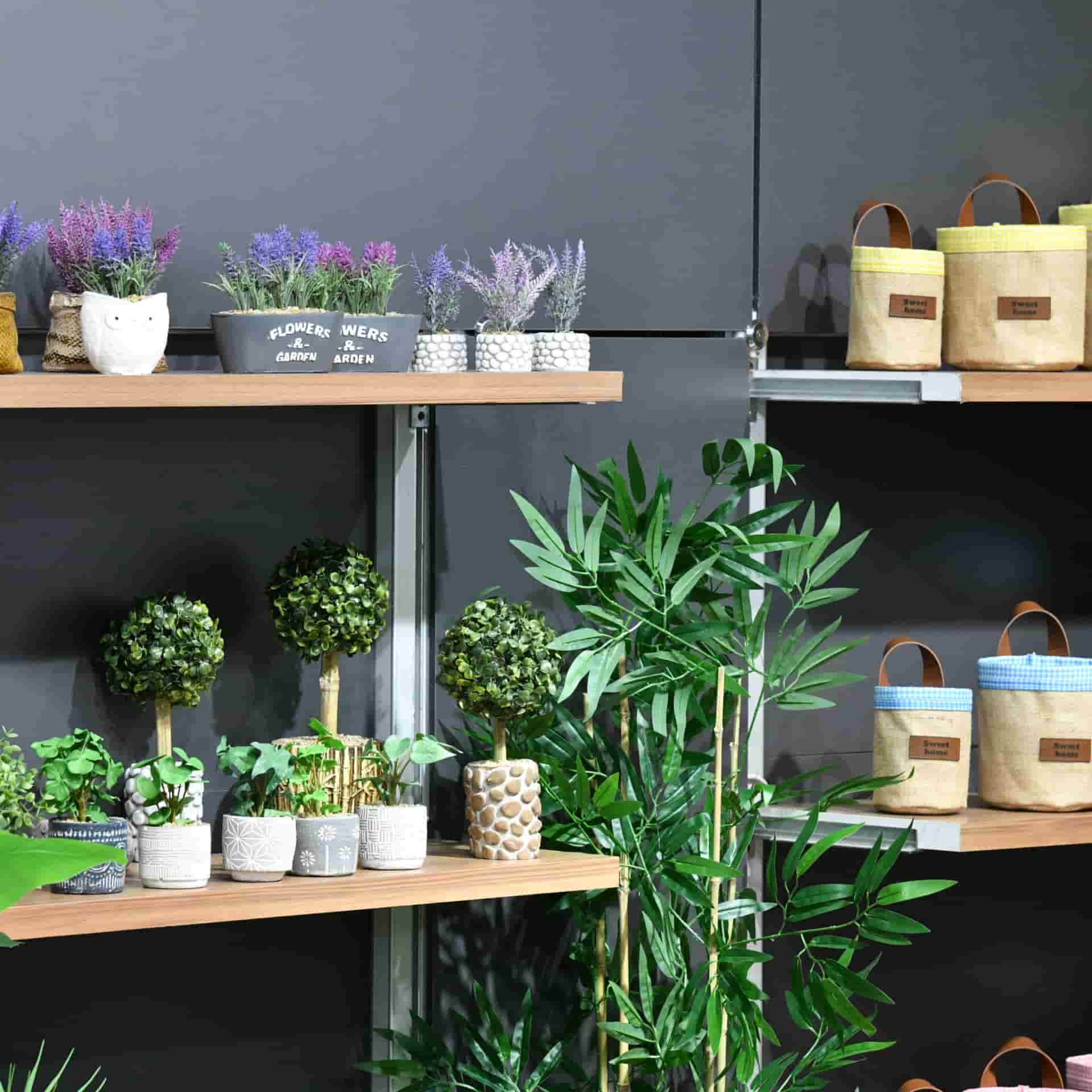 plants and product group display