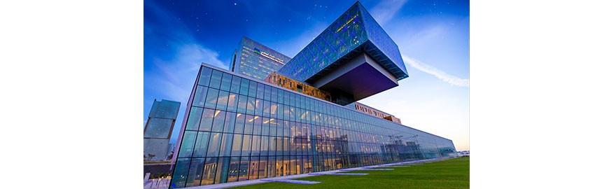Building a Global Healthcare Provider