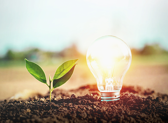 Energy saving lamps and planting trees on the soil ground Electric energy saving concept