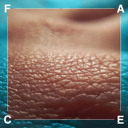 FACE Skin