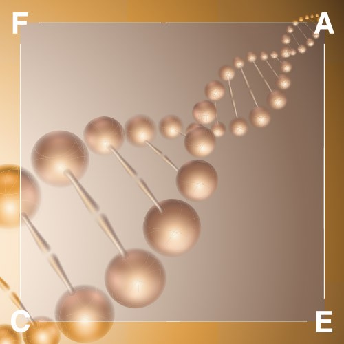 FACE Regenerative Medicine