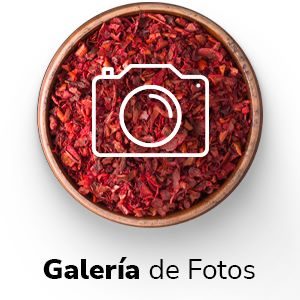 Galeria de Fotos