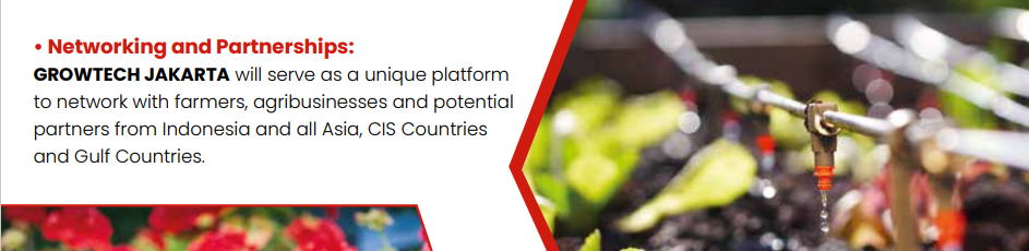 Grow Your Business in Growtech Indonesia