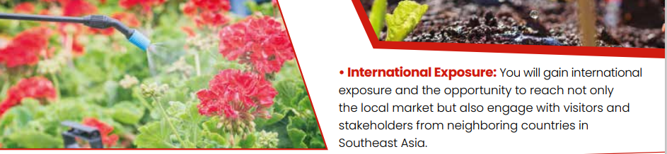 Grow Your Business in Growtech Indonesia