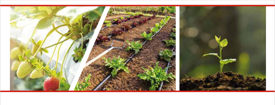 Grow Your Business in Growtech Indonesia