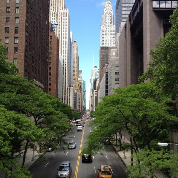 street-view