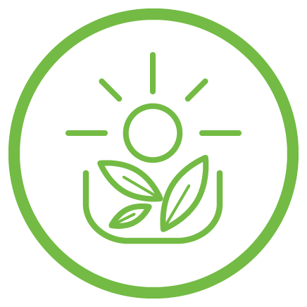 Health & Wellness